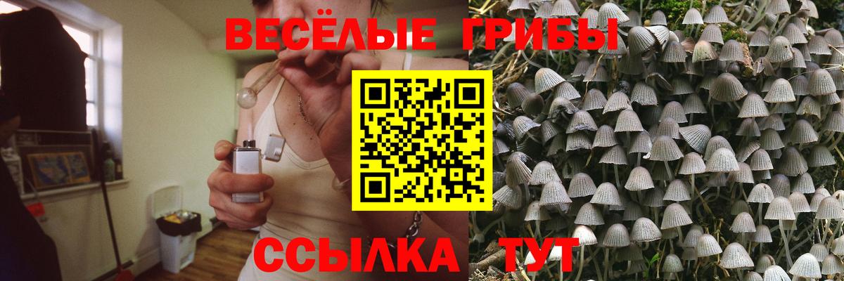 Псилоцибиновые грибы ЛСД  Вход с VPN  Домодедово 